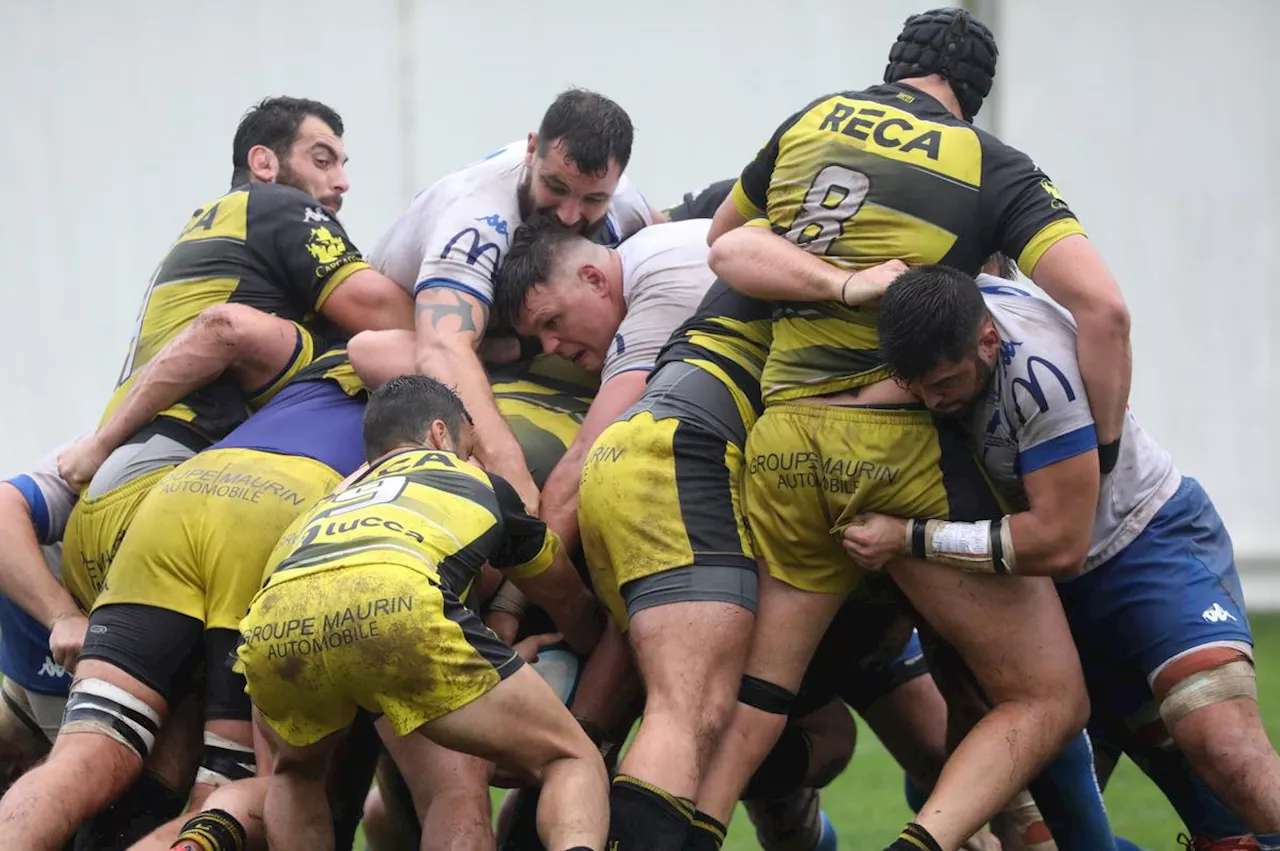 Rugby (Nationale) : le CA Périgueux domine les éléments et bat Carcassonne