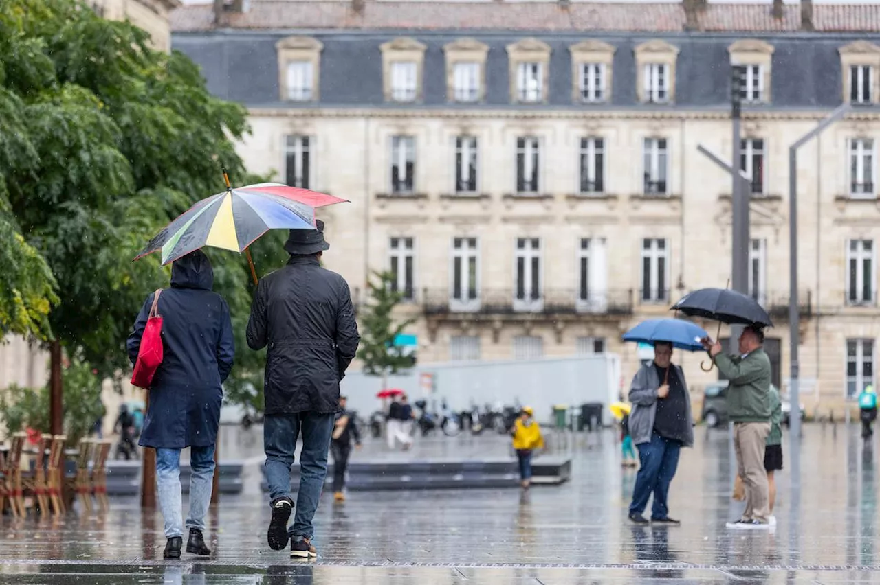 Sortir à Bordeaux : nos idées pour le week-end des 4 et 5 novembre