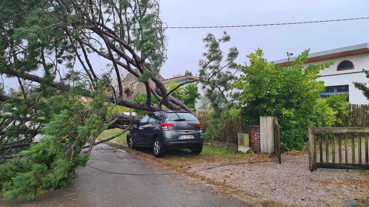 Tempête Ciaran : 260 000 foyers toujours privés d’électricité ce samedi matin