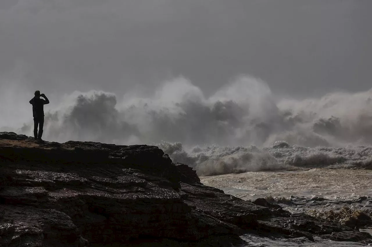 Tempête Domingos : six départements en vigilance orange vents violents, dont la Gironde et les Charentes