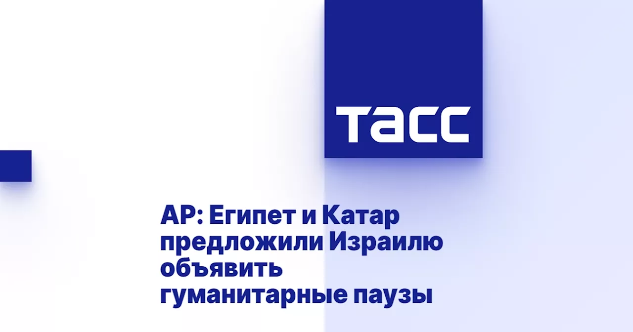 AP: Египет и Катар предложили Израилю объявить гуманитарные паузы