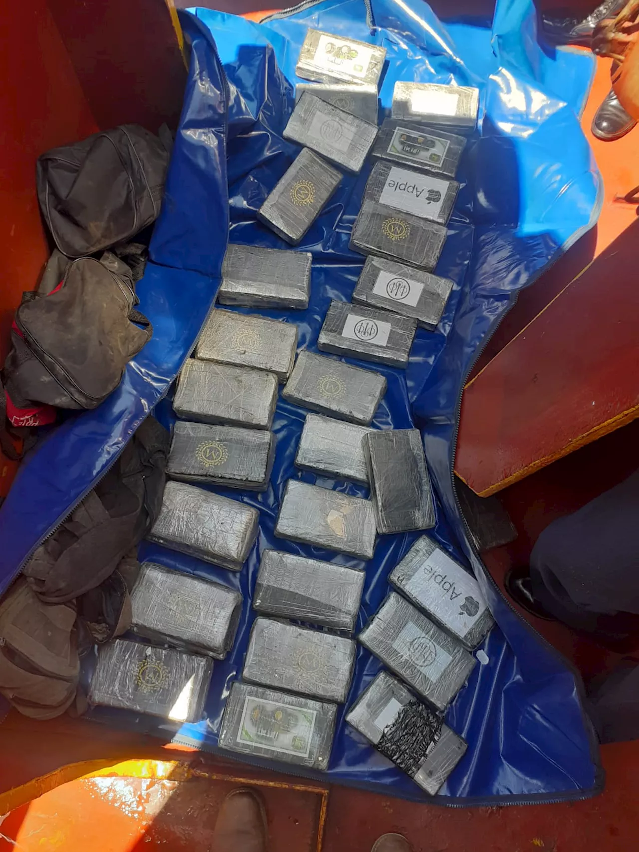 LOOK: Police seize R65 million worth cocaine in Gqeberha