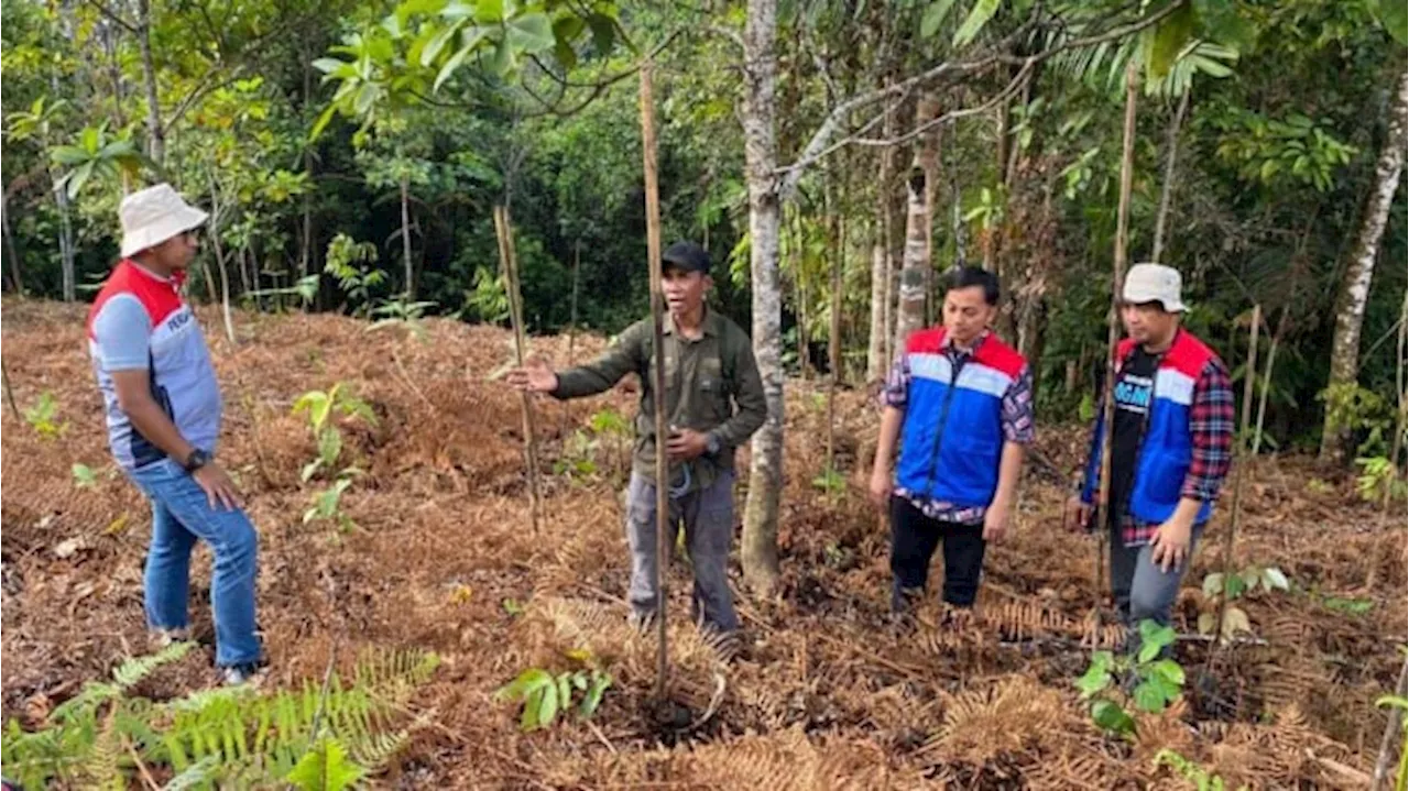 Demi Menjaga Kelestarian Hutan, Pertamina Kembangkan Konservasi Desa Kokolomboi