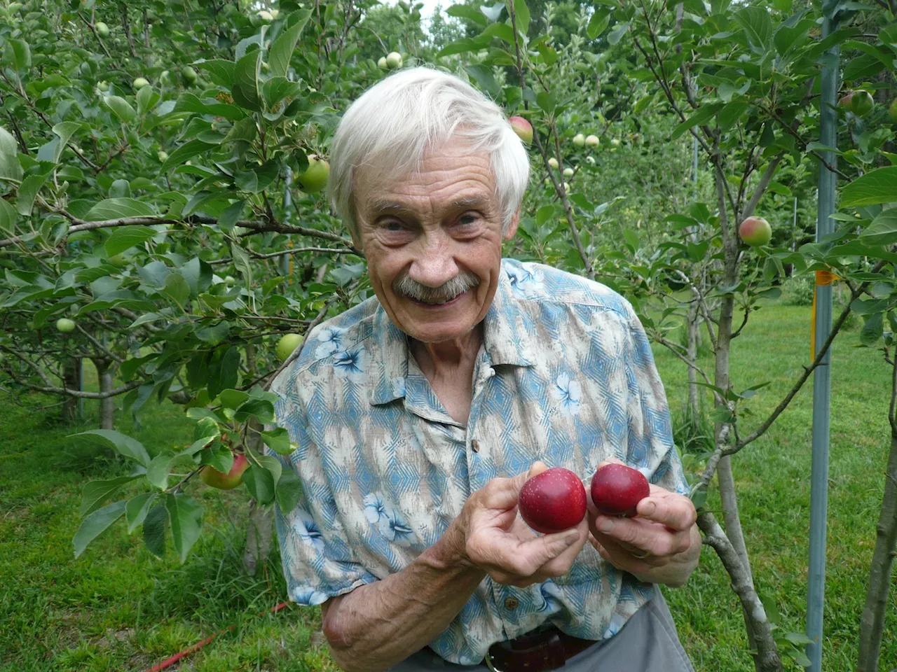 Apple hunter’s 16-year quest for rare ‘lost’ variety was just the start