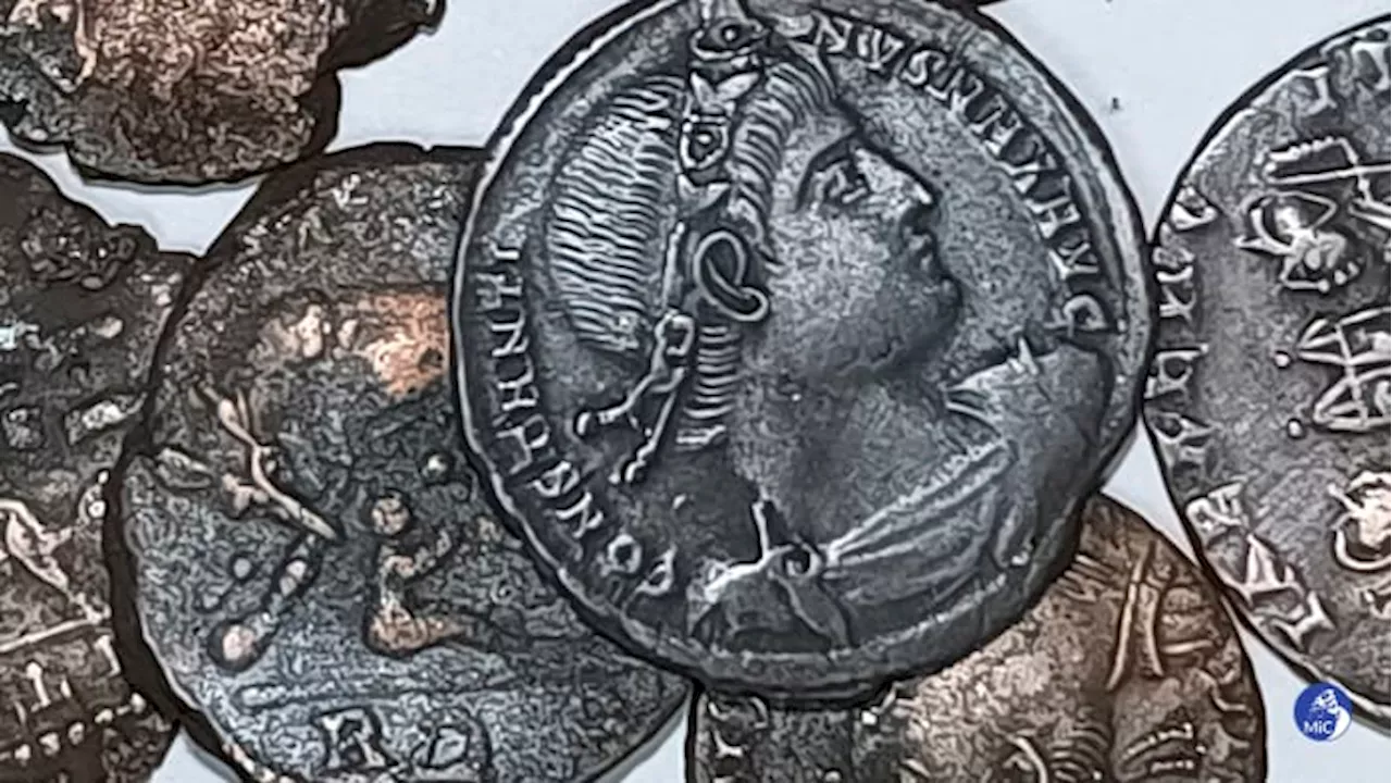 Tens of thousands of ancient coins have been found off Sardinia. They may be spoils of a shipwreck