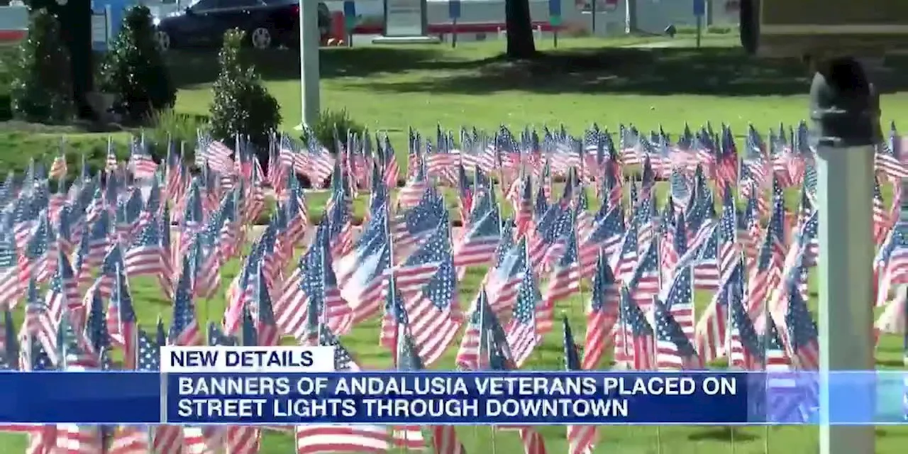 Veterans honored in Andalusia