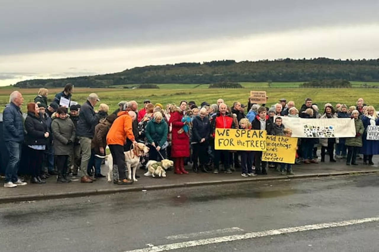 Marske protest: Hundreds gather to protest 'wildlife crime scene' at new Taylor Wimpey and Miller Homes developments in seaside village