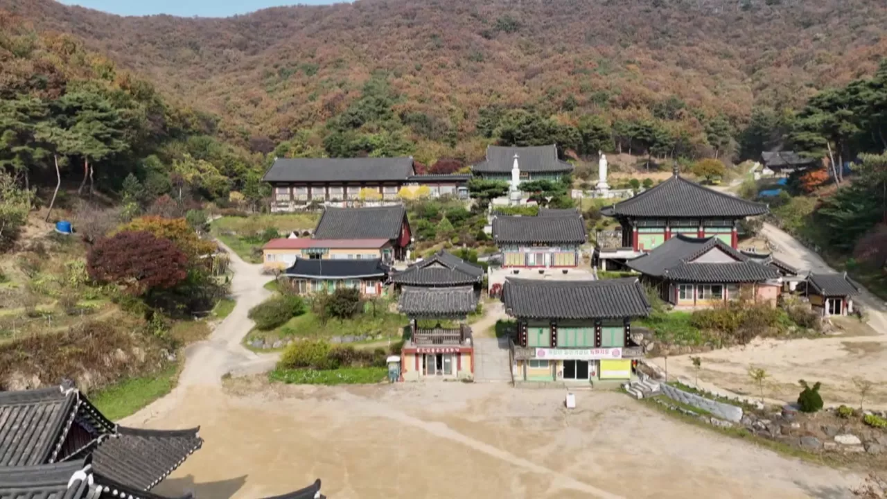 천년 고찰 품은 화성 '무봉산 자연휴양림'...수도권 힐링 명소 주목