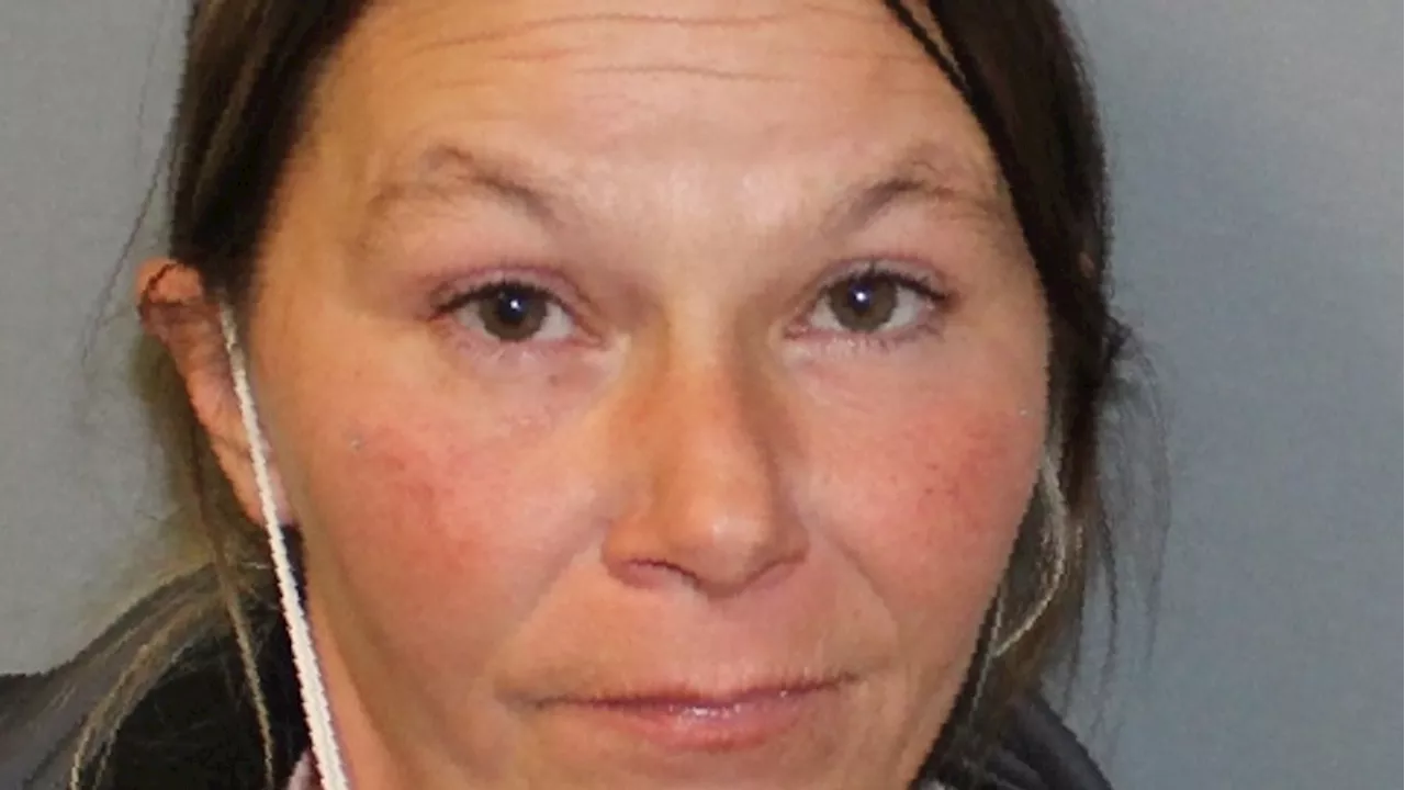 Port Byron woman arrested in Seneca Falls for aggravated DWI and child endangerment