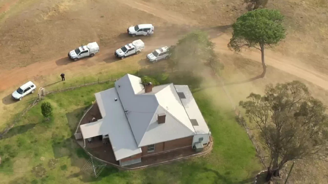 Grisly discovery in burnt-out tree trunk on property near Mudgee, NSW