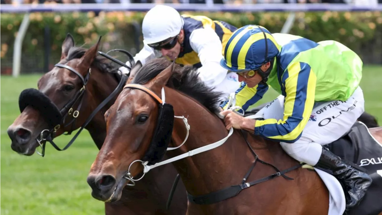 Melbourne Cup winner Damien Oliver faces farewell heartbreak over Alenquer concerns