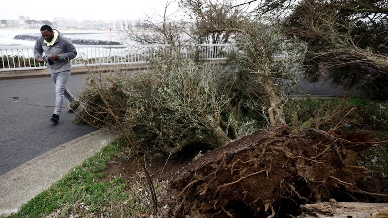 French power supplier: Technician killed as it battles damage from Storm Ciarán