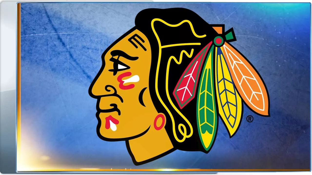 Chicago Blackhawks lawsuit: Ex-'Black Aces' player alleges 2010 sexual assault by former video coach