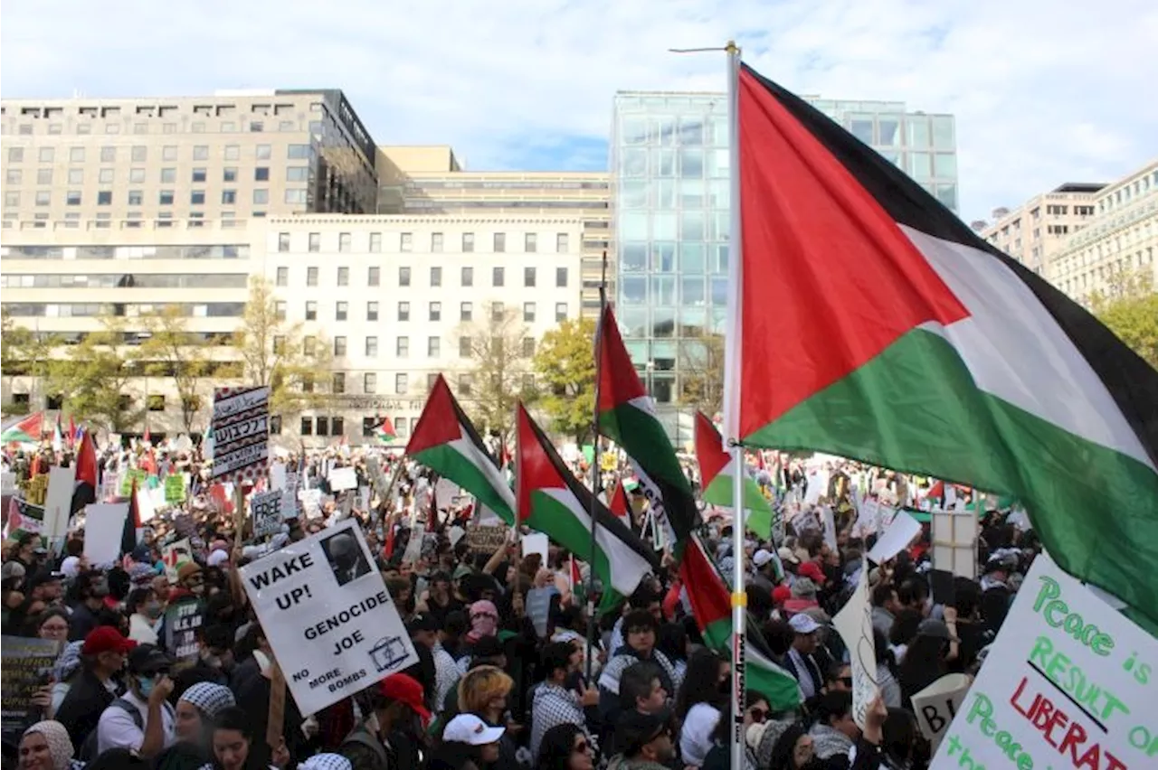 Pro-Palestine Protesters March on Washington D.C., Expressing Anger at Biden