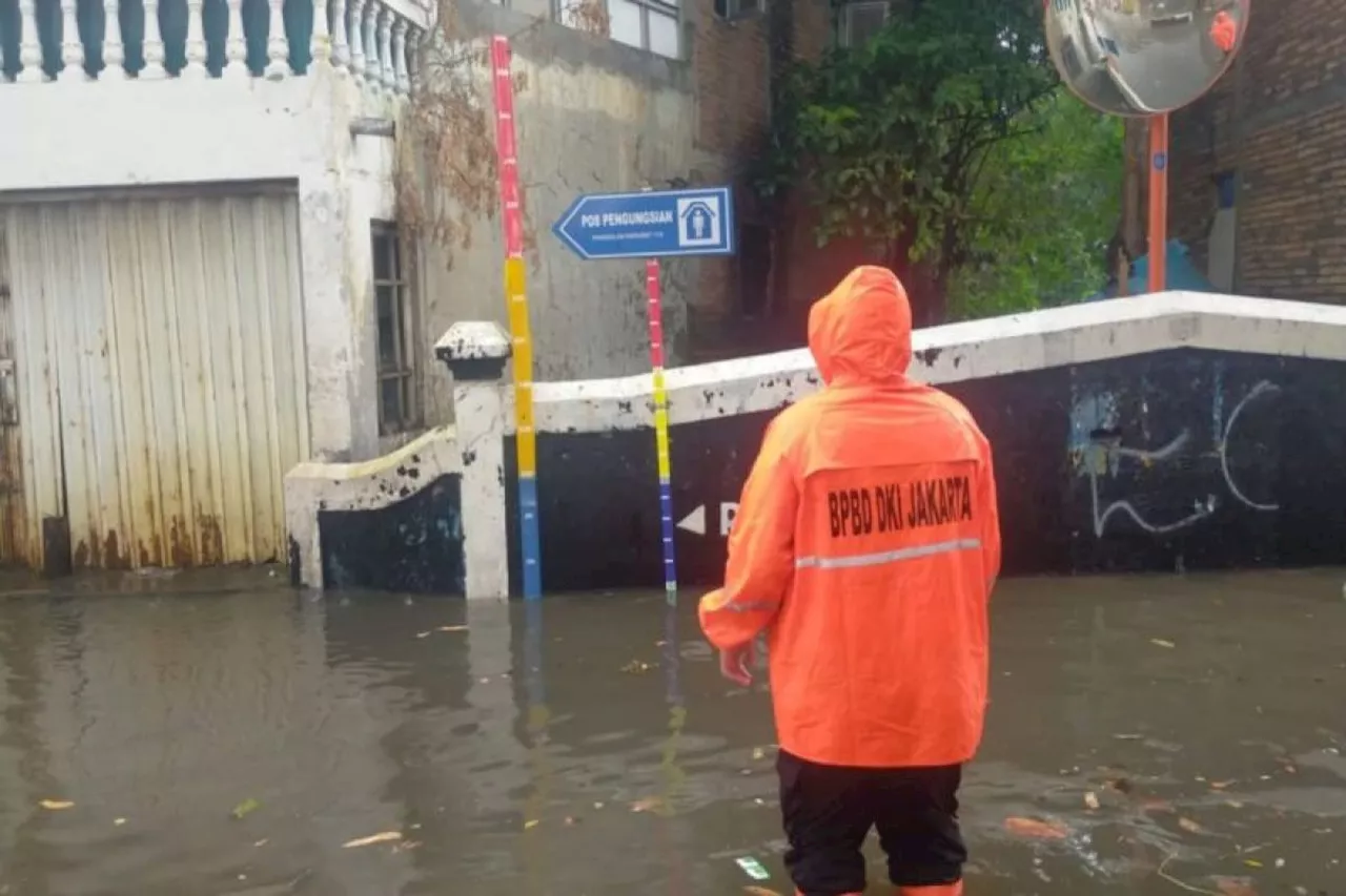 15 jiwa mengungsi akibat banjir di DKI Jakarta