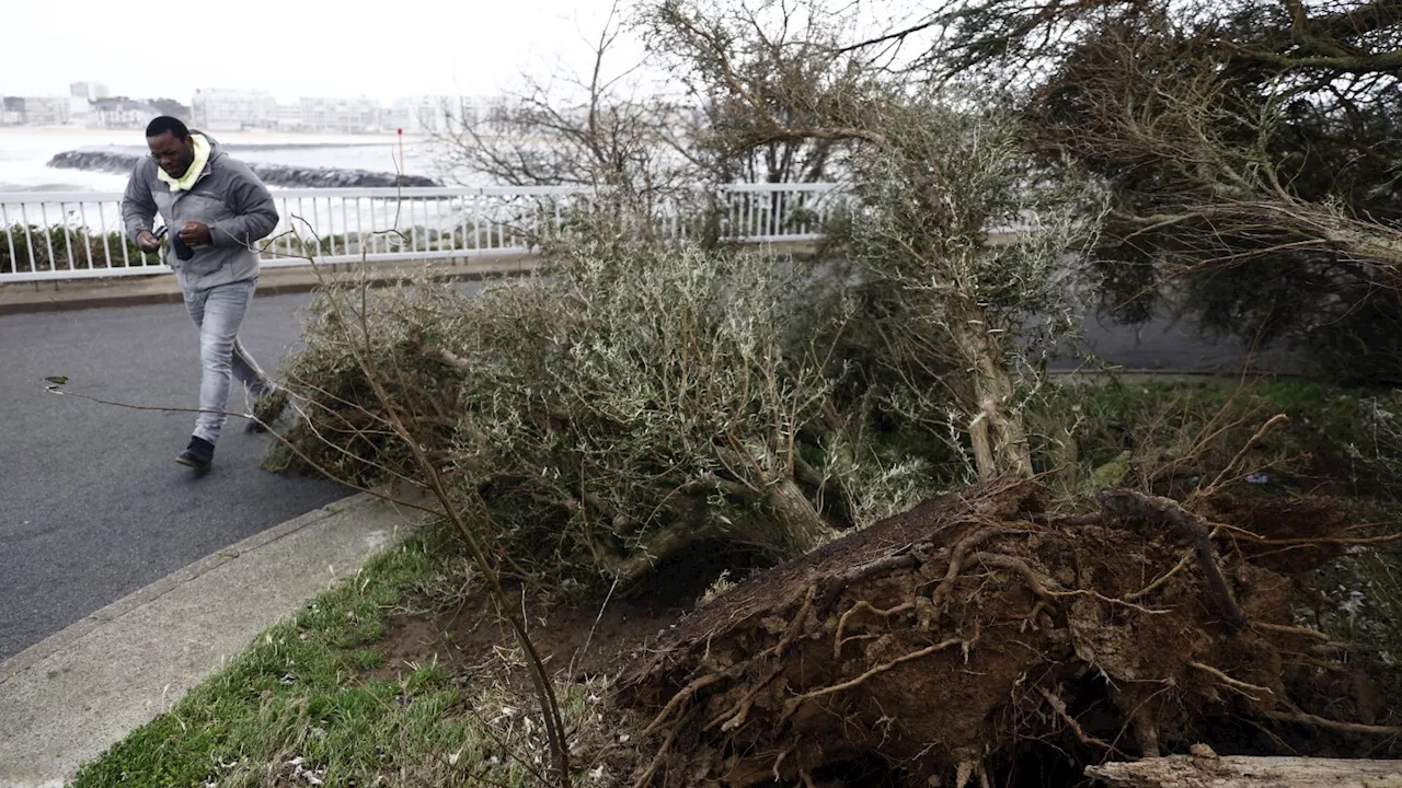 French power supplier says technician killed as it battles damage from Storm Ciarán