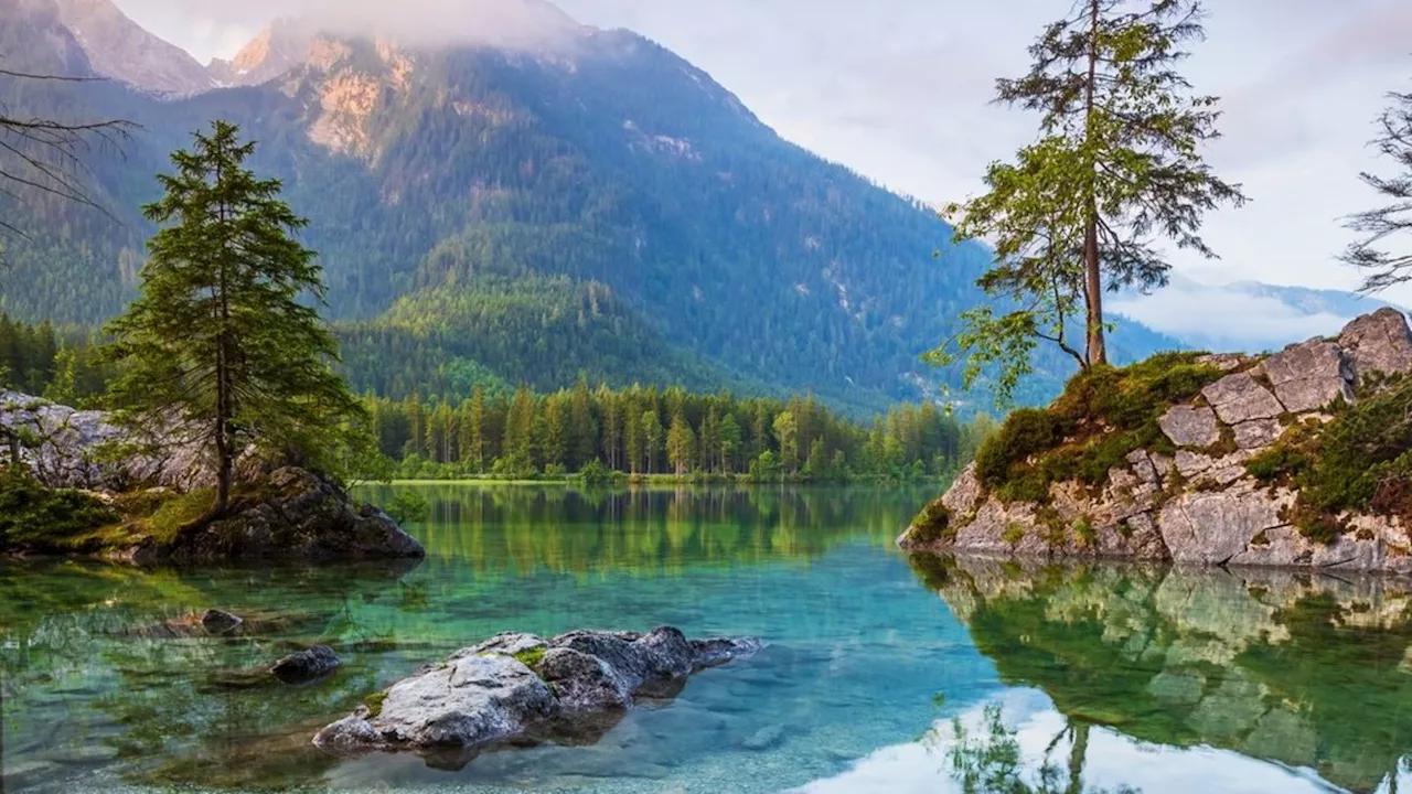 Natur genießen: Diese deutschen Nationalparks müssen Frischluftfans kennen