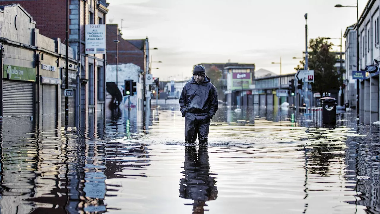 Elaine Byrne: Environmentalists are the key to flood management