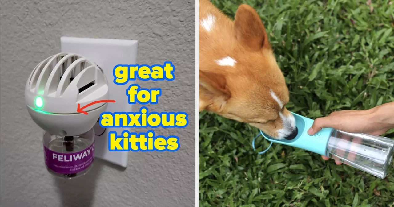 26 Trendy Pet Products On TikTok That Live Up To The Hype