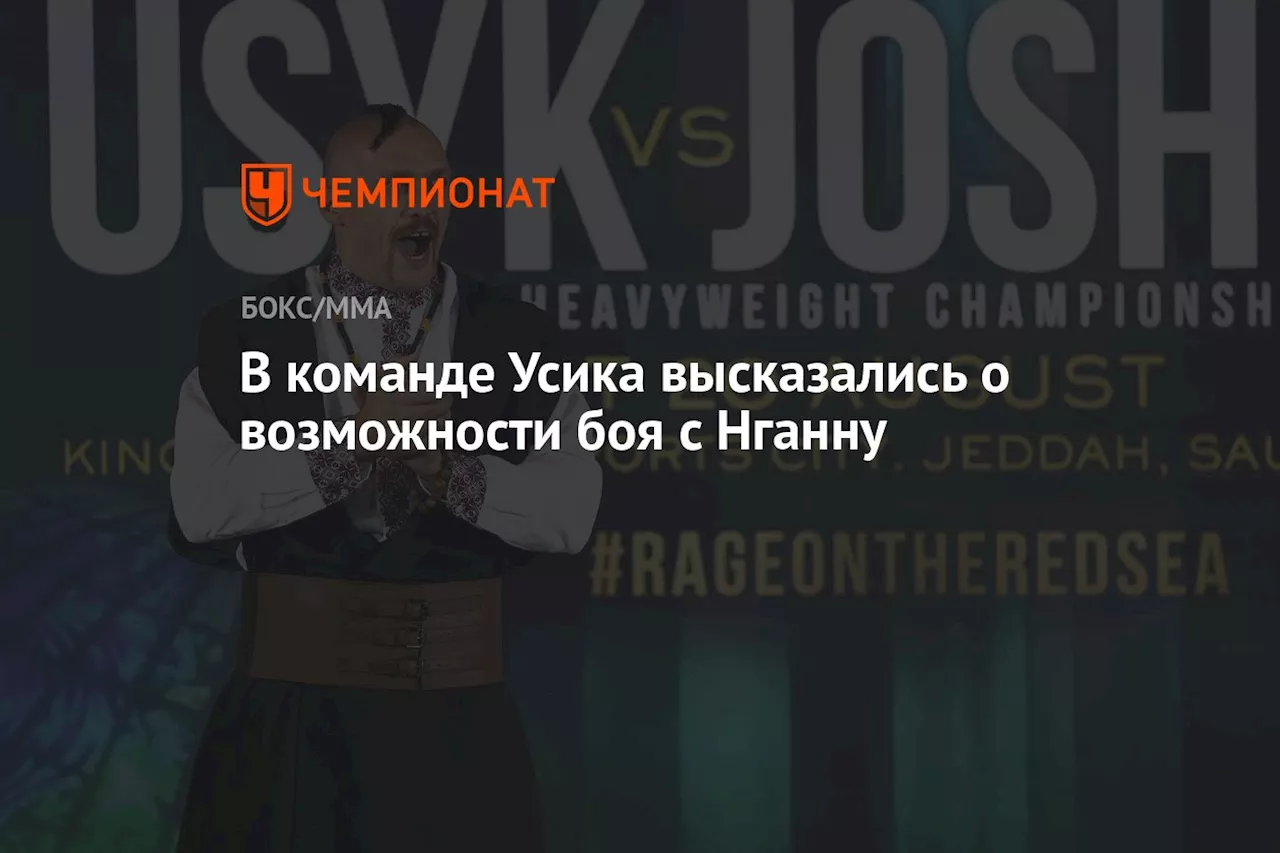 В команде Усика высказались о возможности боя с Нганну