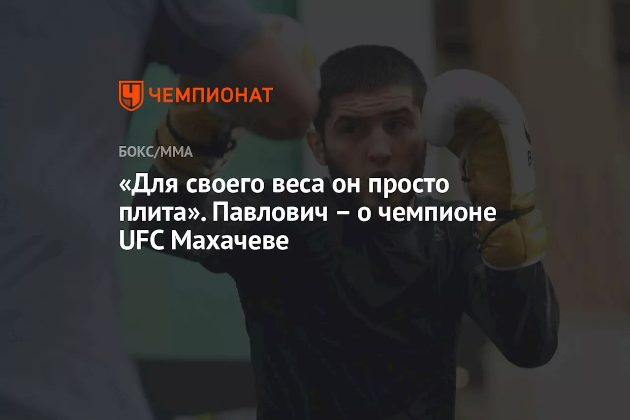 «Для своего веса он просто плита». Павлович – о чемпионе UFC Махачеве