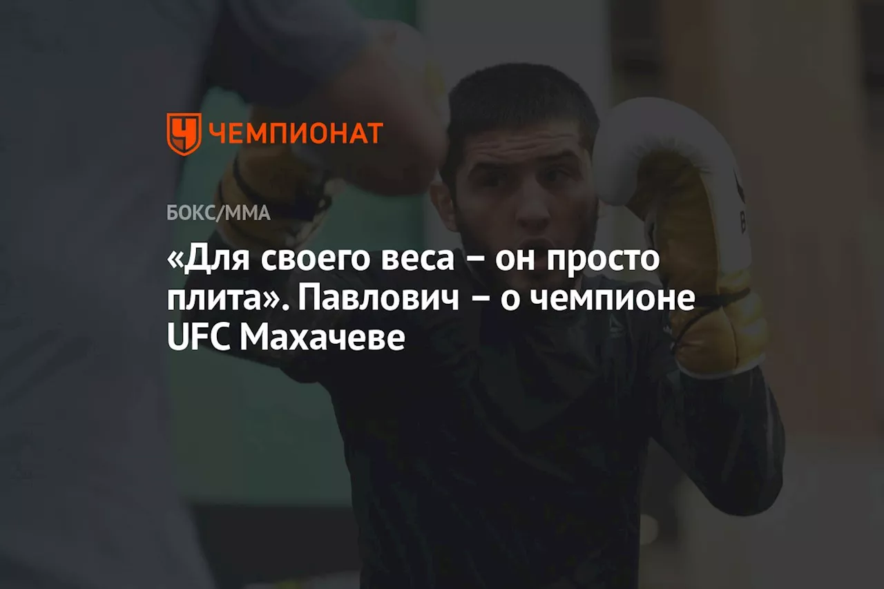 – он просто плита». Павлович – о чемпионе UFC Махачеве