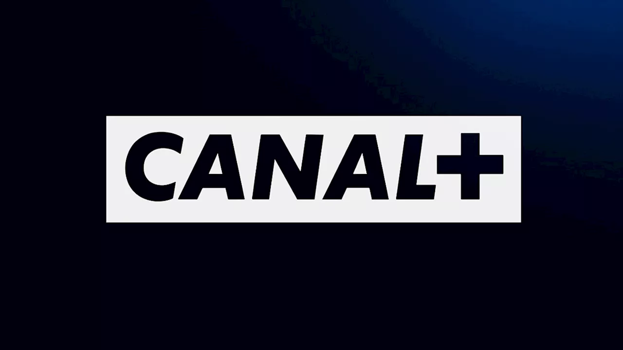 Découvrez les trois nouvelles séries à ne pas rater en novembre sur Canal+