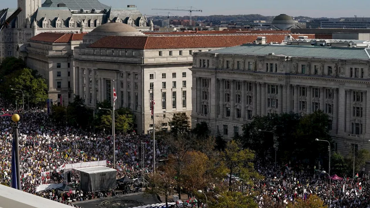 Propalästinensische Demonstration in Washington: Protestzug zieht vor das Weiße Haus