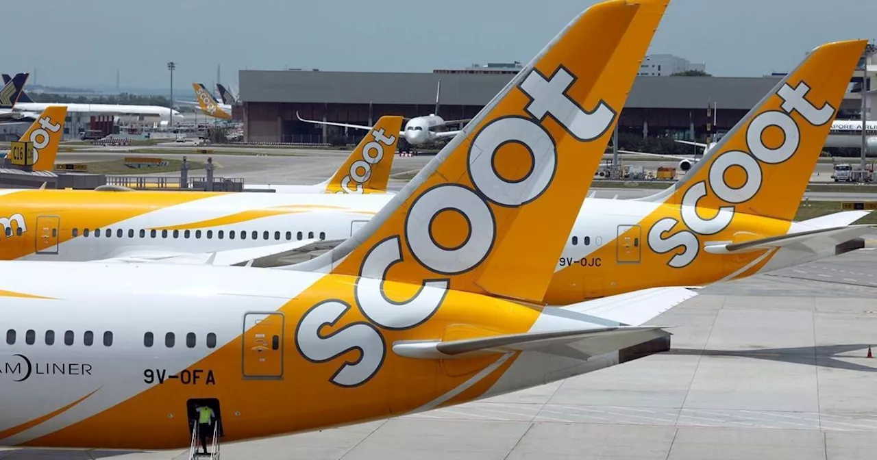 The new breed of long-haul, low-cost airlines: What you need to know