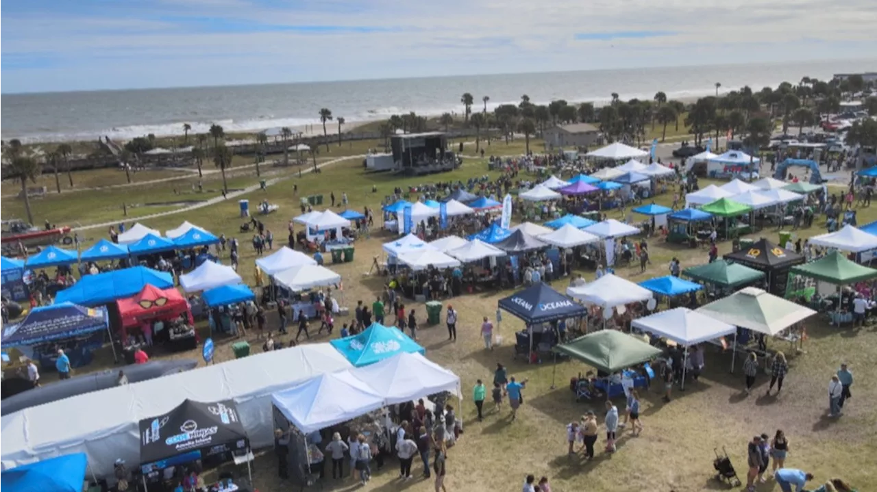 Thousands gather at the Right Whale Festival in Fernandina Beach for more than just fun