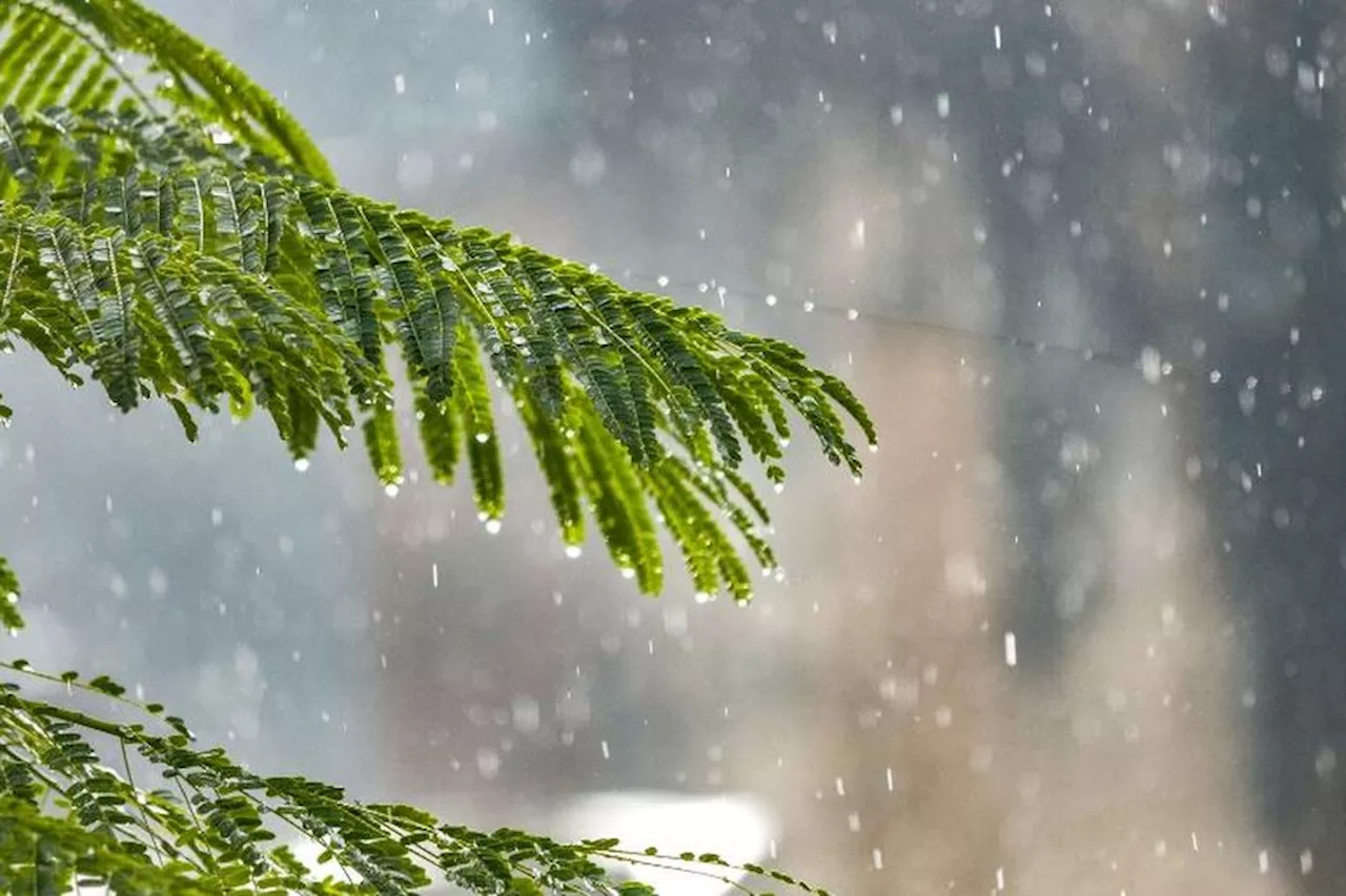 Météo. Quel temps pour ce dimanche 5 novembre dans les Hauts-de-France ?