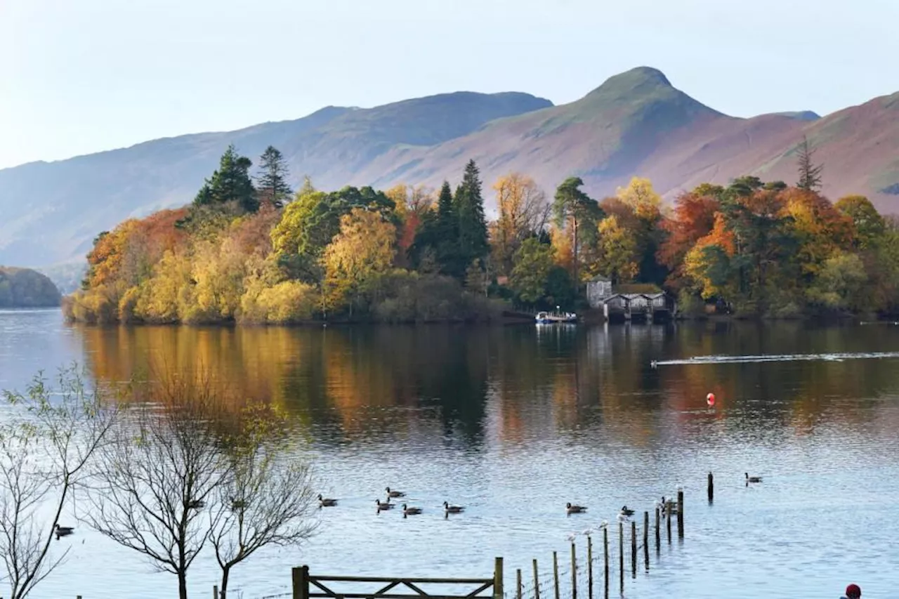 In Pictures: Nature puts on a show with sunshine highlighting autumn colours