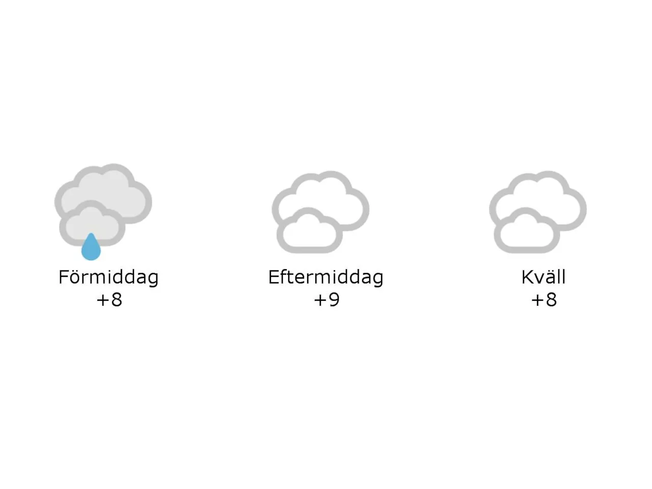 Halmstad: 8 grader och mulet och lätt regn under förmiddagen