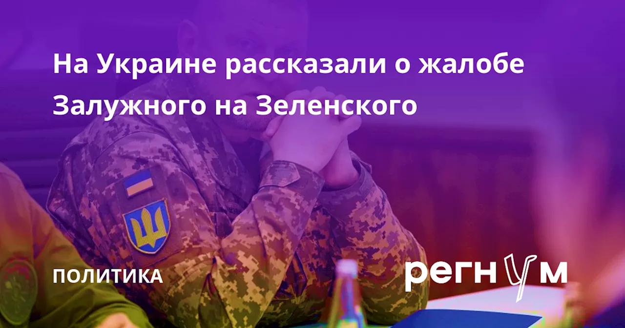 На Украине рассказали о жалобе Залужного на Зеленского