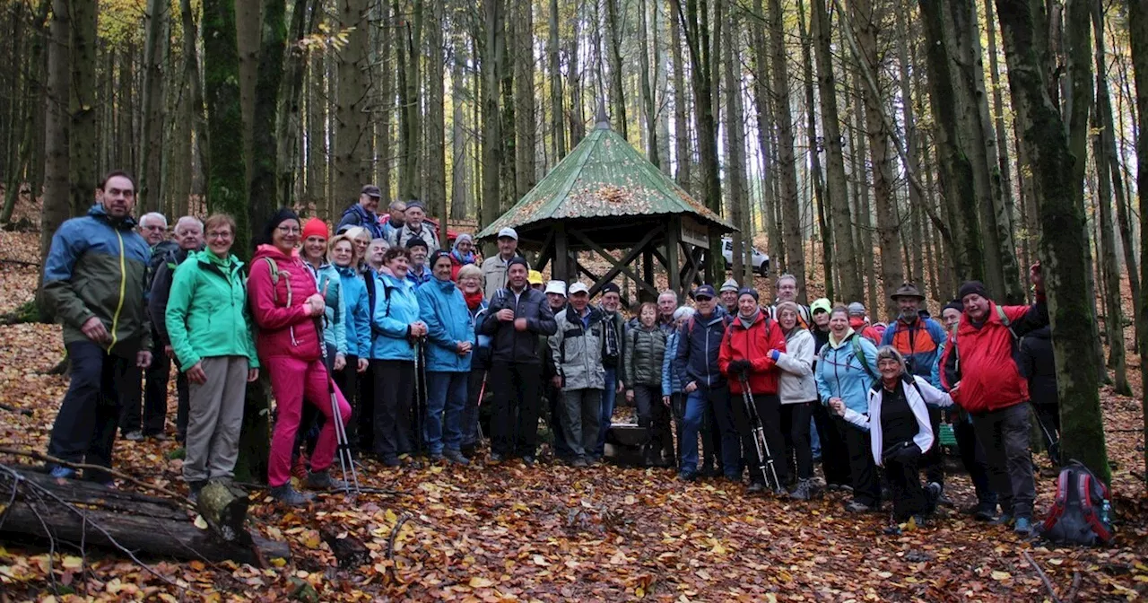 250 Wanderer treffen sich im Grenzwald