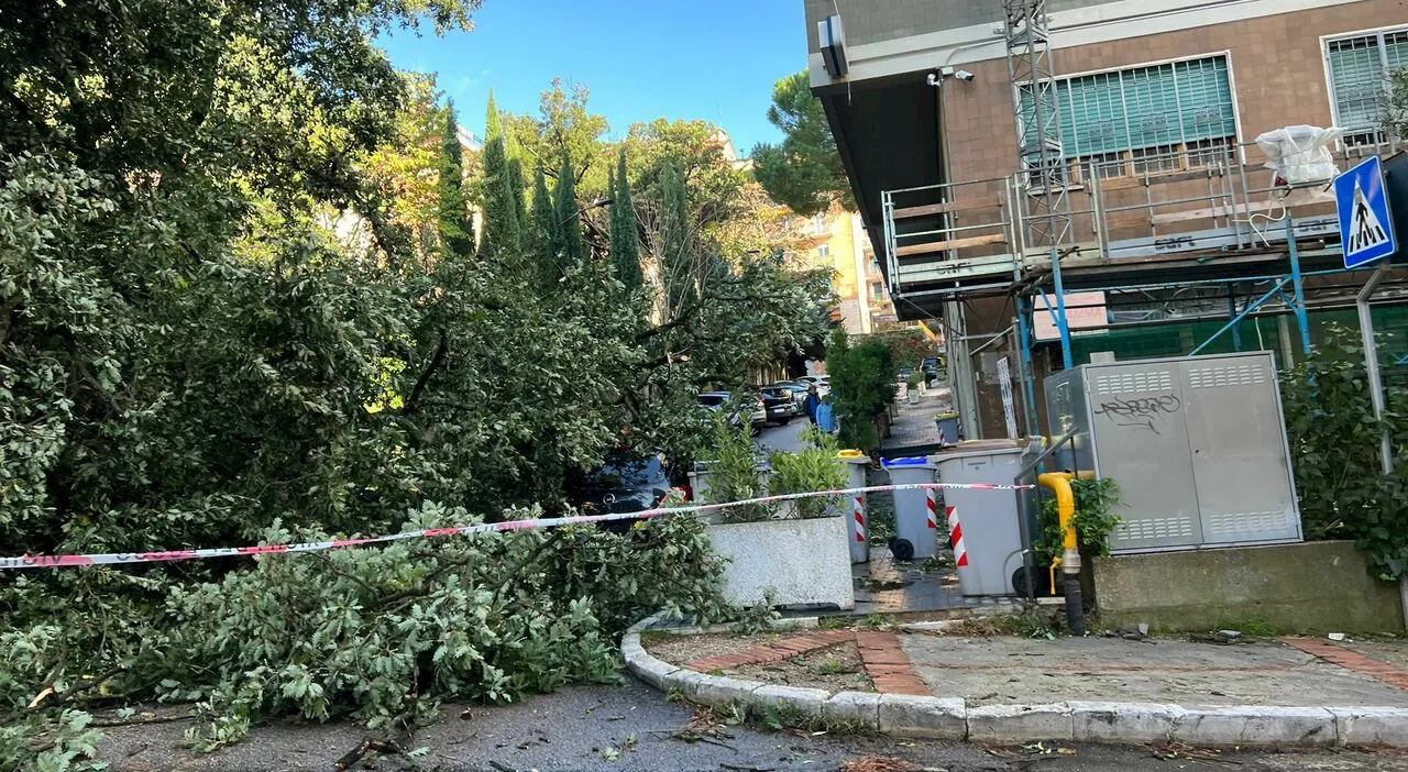 Perugia, tempesta di vento e pioggia: alberi sulle auto e strade bloccate. A Pian delle Pieve esondato il Tesc