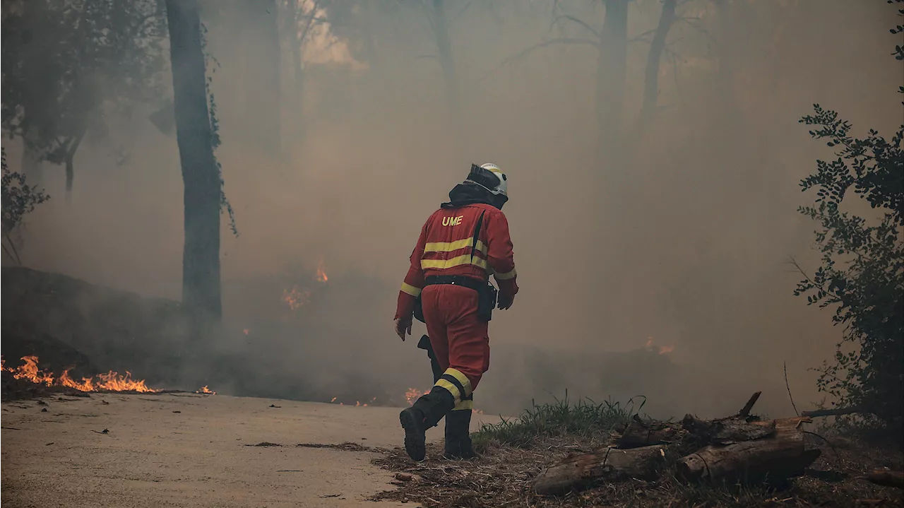 Evolución favorable del incendio en Valencia tras quemar 2.500 hectáreas