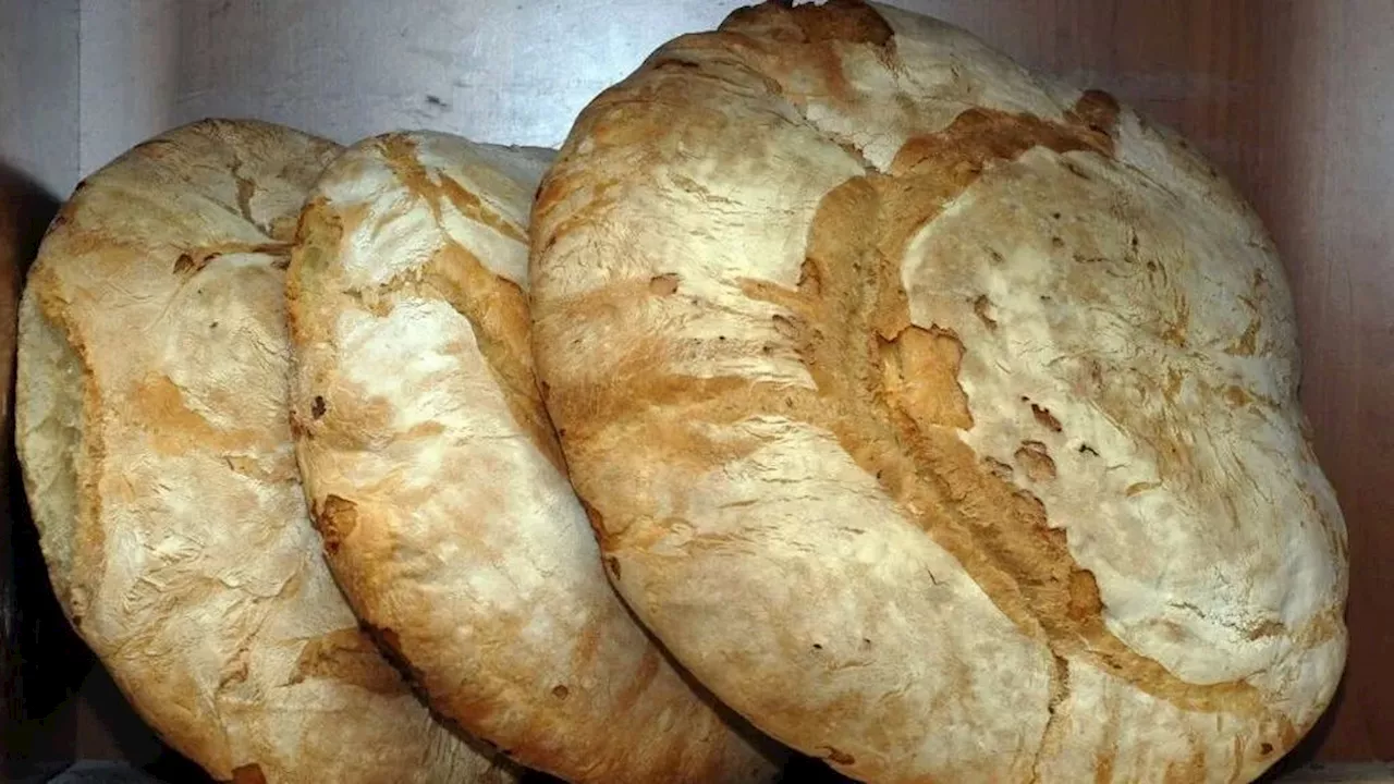 Pan con masa madre y sin masa madre: ¿En qué se diferencian?