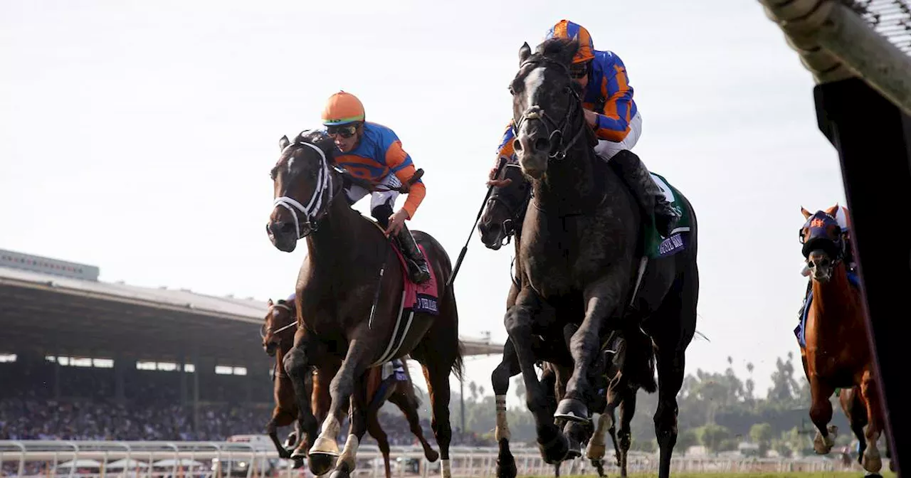 Auguste Rodin puts perfect seal on another Breeders’ Cup success for Aidan O’Brien