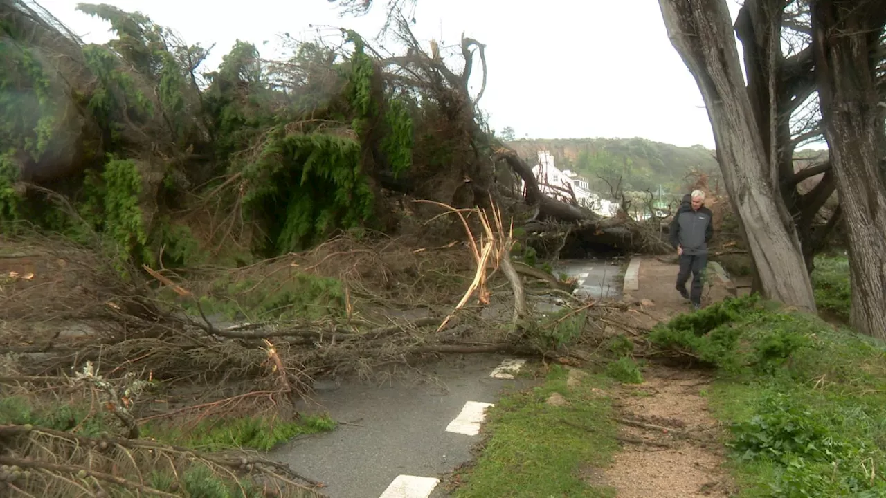 Islanders in Jersey told to work from home if possible as three schools remain closed