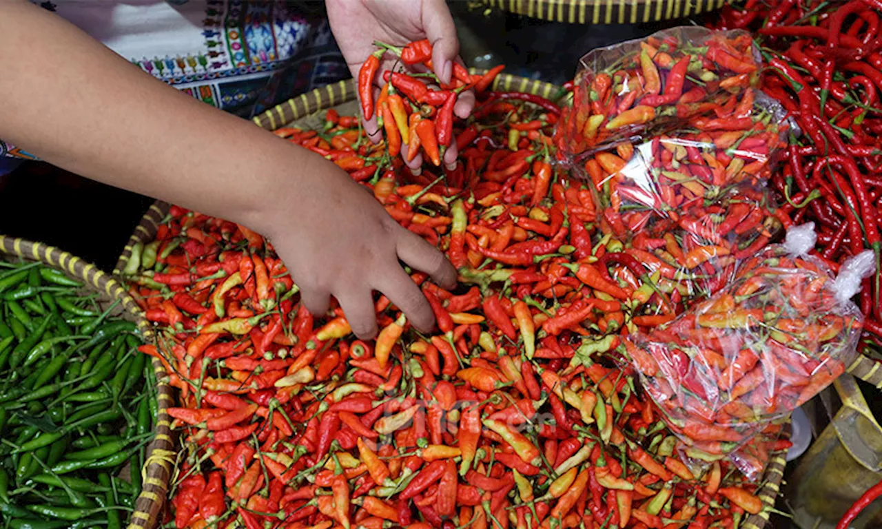 Alhamdulillah, Harga Cabai Merah Berangsur Turun di Pasar Tradisional