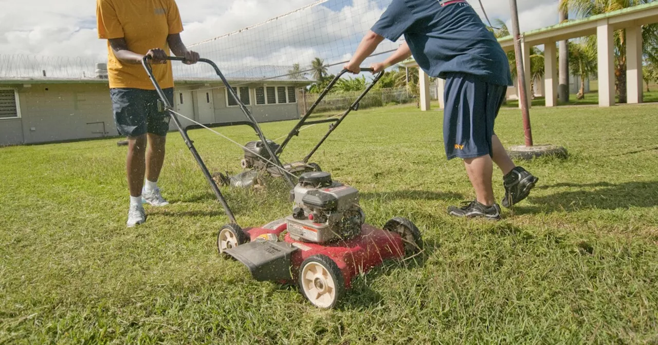 That green lawn may not be so green: Gas-powered mowers are heavy polluters