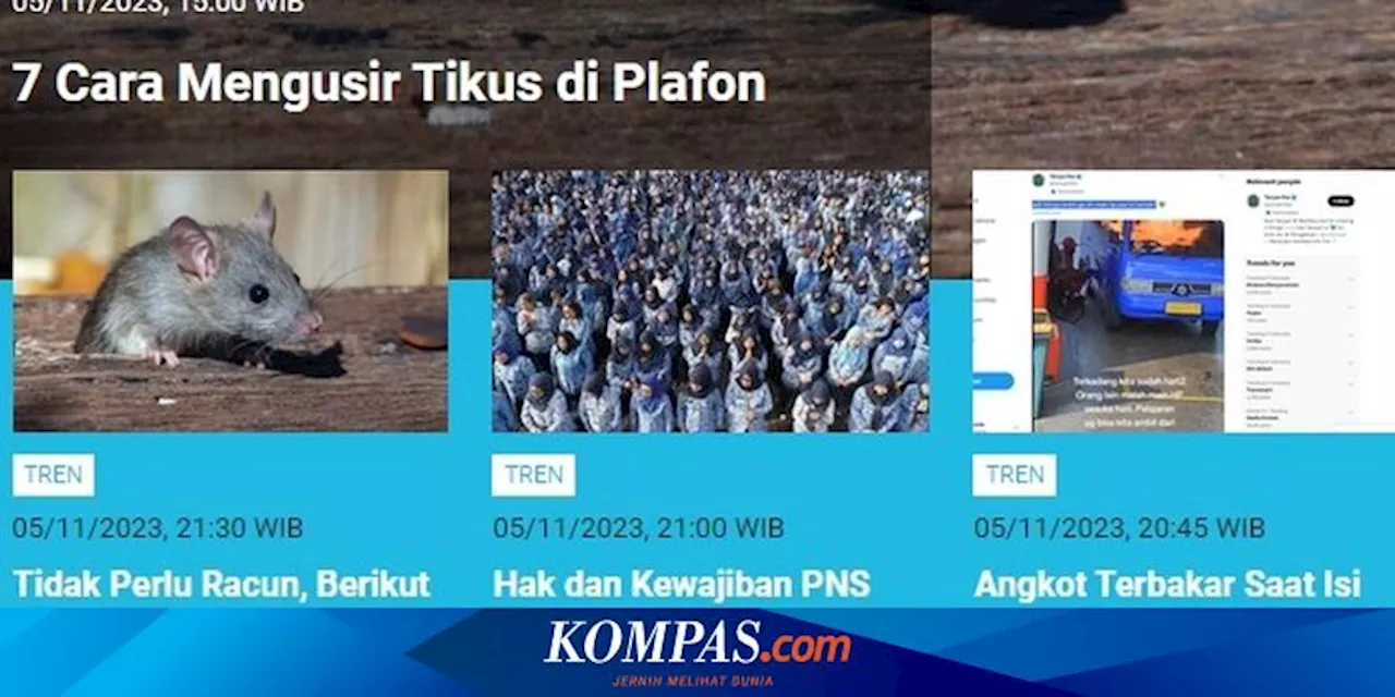 [POPULER TREN] Cara Cek Jadwal dan Lokasi SKD CPNS dan PPPK | Tips Mengusir Tikus yang Ada di Plafon