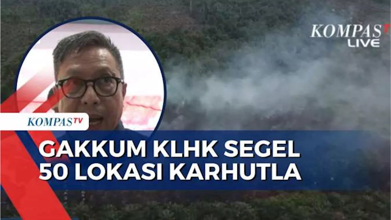 Dirjen Gakkum KLHK Segel 50 Lokasi Lahan Kebakaran, Penegakan Hukum Akan Berlapis!