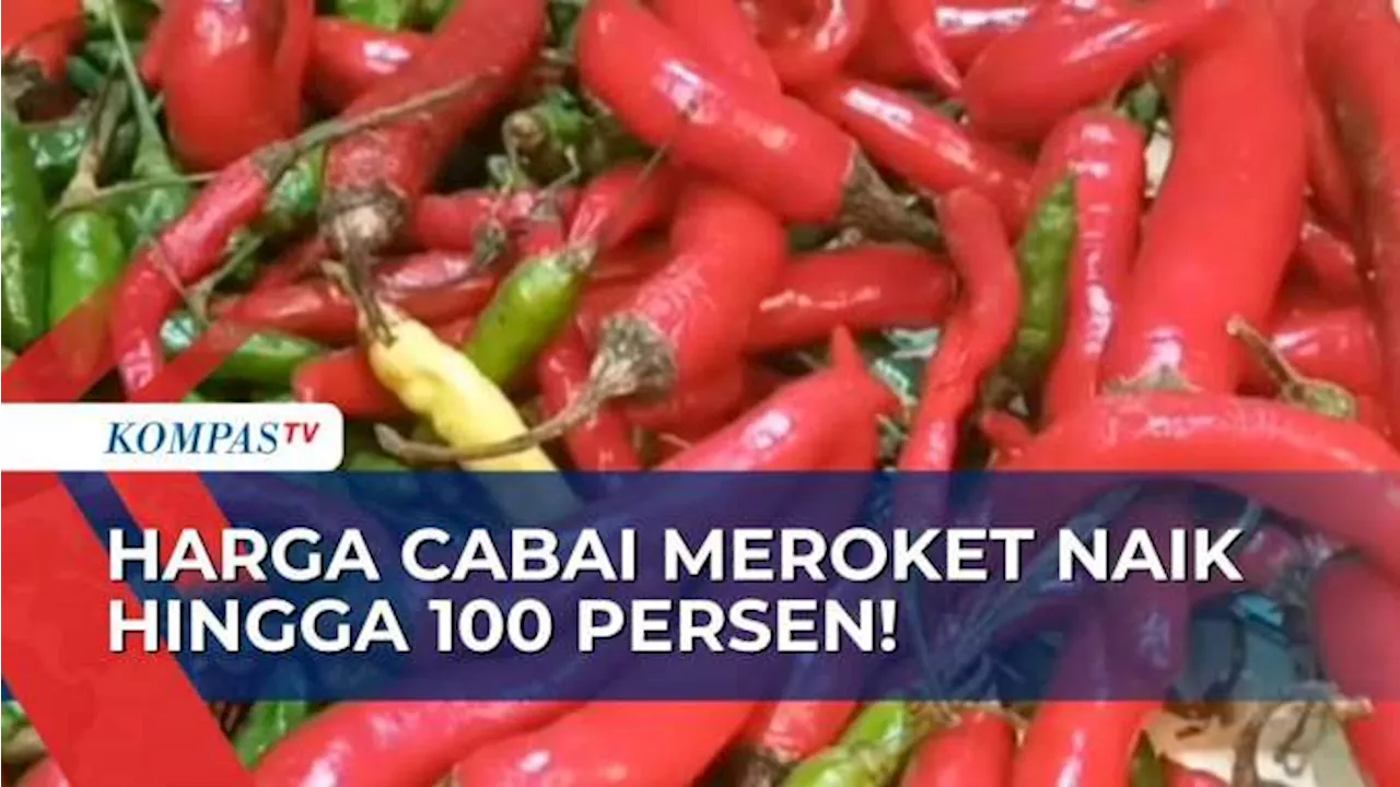 Harga Cabai Melonjak Naik, Diduga Terimbas Gagal Panen Akibat Kemarau Panjang