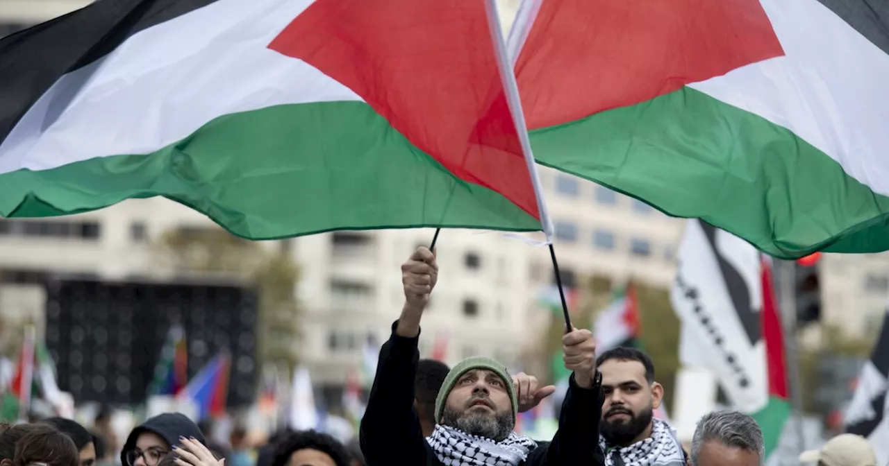 Tens of thousands gather for pro-Palestinian march in D.C. to demand Gaza cease-fire