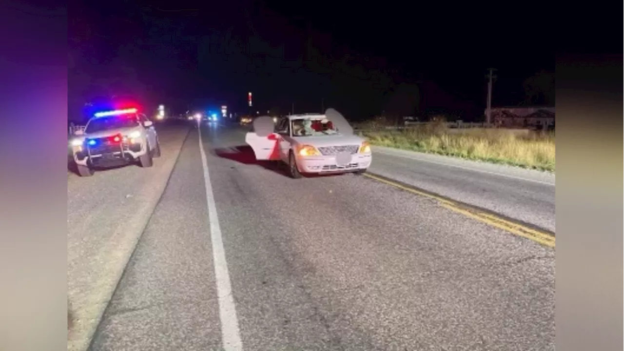 Driver killed when deer is hurled through windshield on Utah County highway