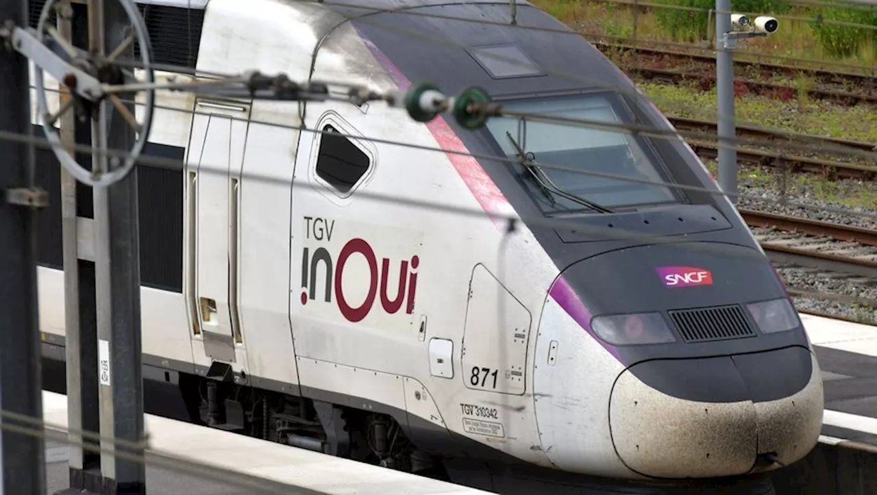 'Dix heures de retard' : 500 passagers passent la nuit coincés dans le train Paris-Toulouse à cause de la temp