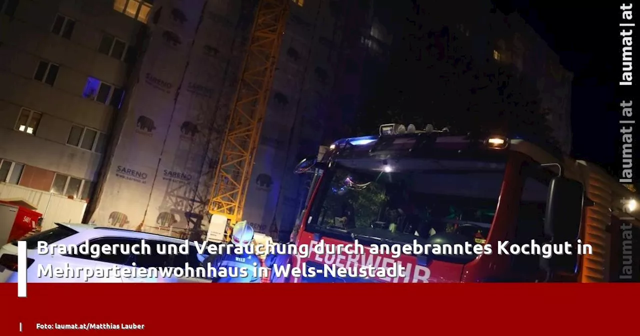 Brandgeruch und Verrauchung durch angebranntes Kochgut in Mehrparteienwohnhaus in Wels-Neustadt