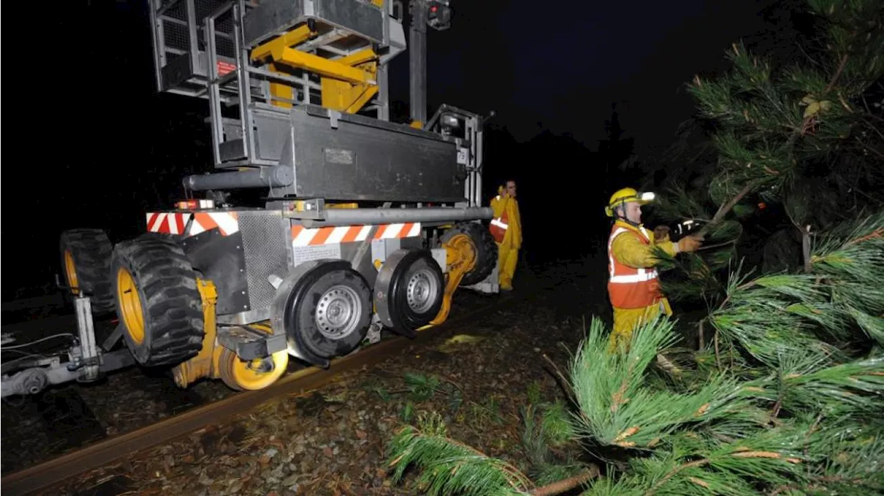 Tempête Domingos : deux trains bloqués toute la nuit en Corrèze, le réseau ferré endommagé